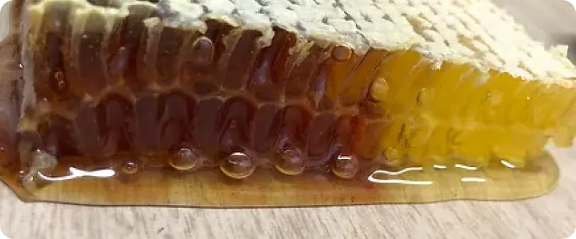 Honey5 Honey5