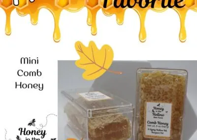 Blog 5 ???? 5 oz Mini Comb Honey ????