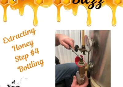 Blog 8 ????????From our Hives to your Home in 4 simple steps