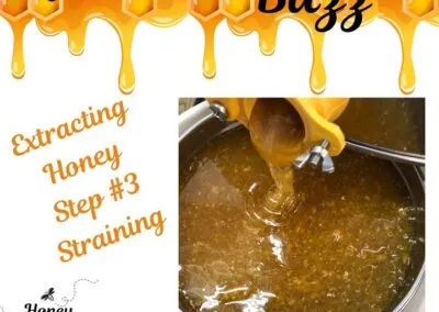 Blog 3 An important, but misunderstood, part of our process is straining