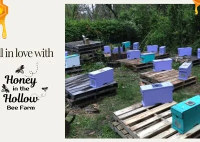 Blog 2 A post from Honey In The Hollow Bee Farm LLC