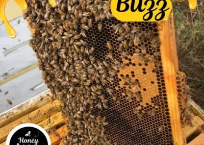 ???????? Beekeeper Glenn was thrilled and surprised to see this frame in one of his boxes that he just transported from NY to South Ca…