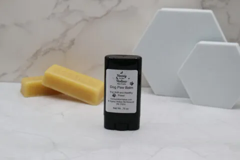 dog paw balm in black applicator container