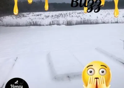 Just a bit ago, we were sharing how our girls????????—the bees—were thriving in the warm South Carolina sunshine