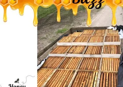 Blog 6 We’ve pulled our first harvest of honey🍯 for the season