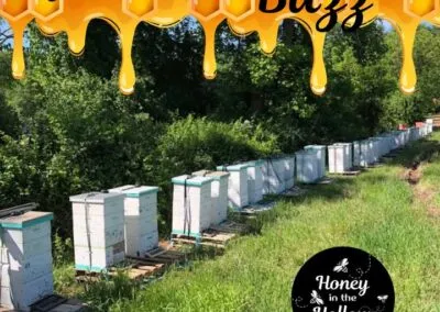 Blog 5 🌼🌸🌷Nestled in against blackberry bushes and honeysuckle, the 🐝 bees will flourish for some time before the nectar flow ceases