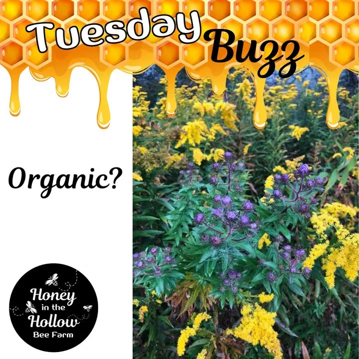 ❓Folks have asked us whether our honey is organic