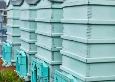 In London,  some bees live in style!