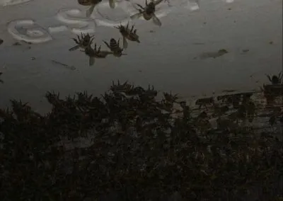 Make sure your speaker is turned up for this one!