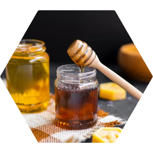 Honey in the Hollow Bee Farm